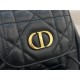 Dior CARO BACKPACK SMALL Macrocannage Lambskin High