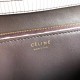 Celine Medium Classic Box Bag In Natural Lizard Leather High