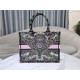 MEDIUM Dior BOOK TOTE Butterfly Around The World Embroidery High