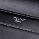 Celine CHAIN BAG TRIOMPHE IN SHINY CALFSKIN High