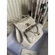 Chanel Duma Backpack 2908 Calfskin Gold-Tone Metal White A