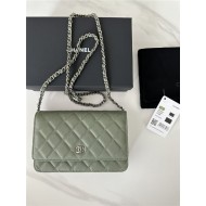 Classic Wallet on Chain AP0250 Grained Calfskin Green Silver Metal B