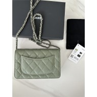 Classic Wallet on Chain AP0250 Grained Calfskin Green Silver Metal B