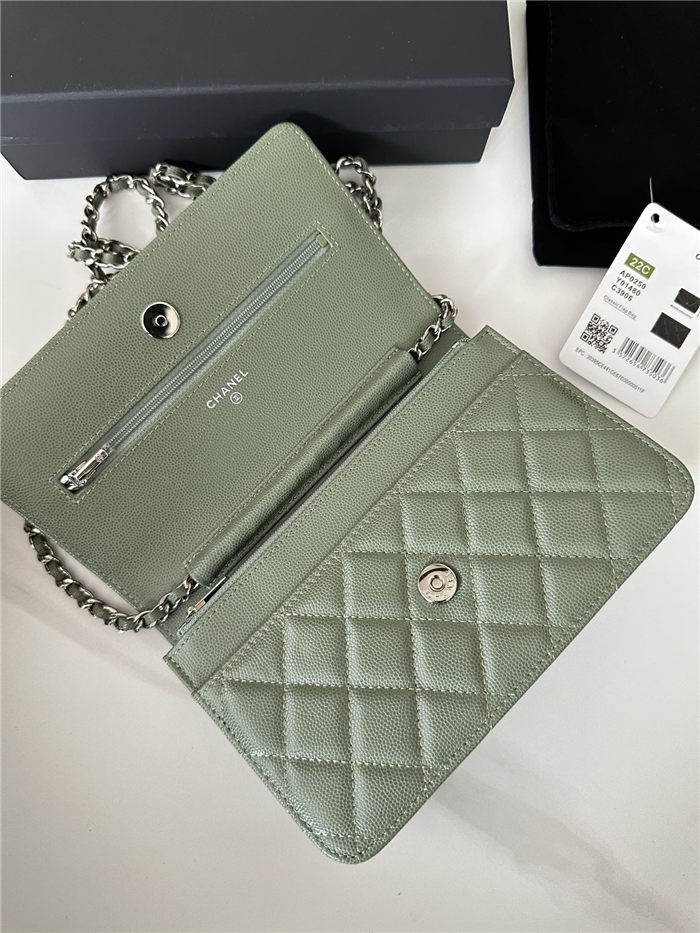 Classic Wallet on Chain AP0250 Grained Calfskin Green Silver Metal B