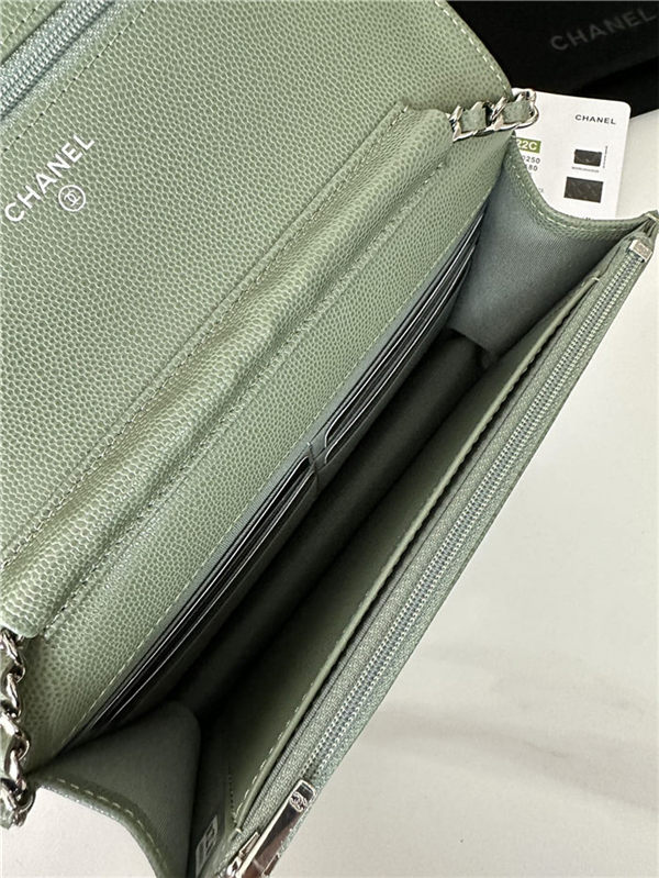 Classic Wallet on Chain AP0250 Grained Calfskin Green Silver Metal B