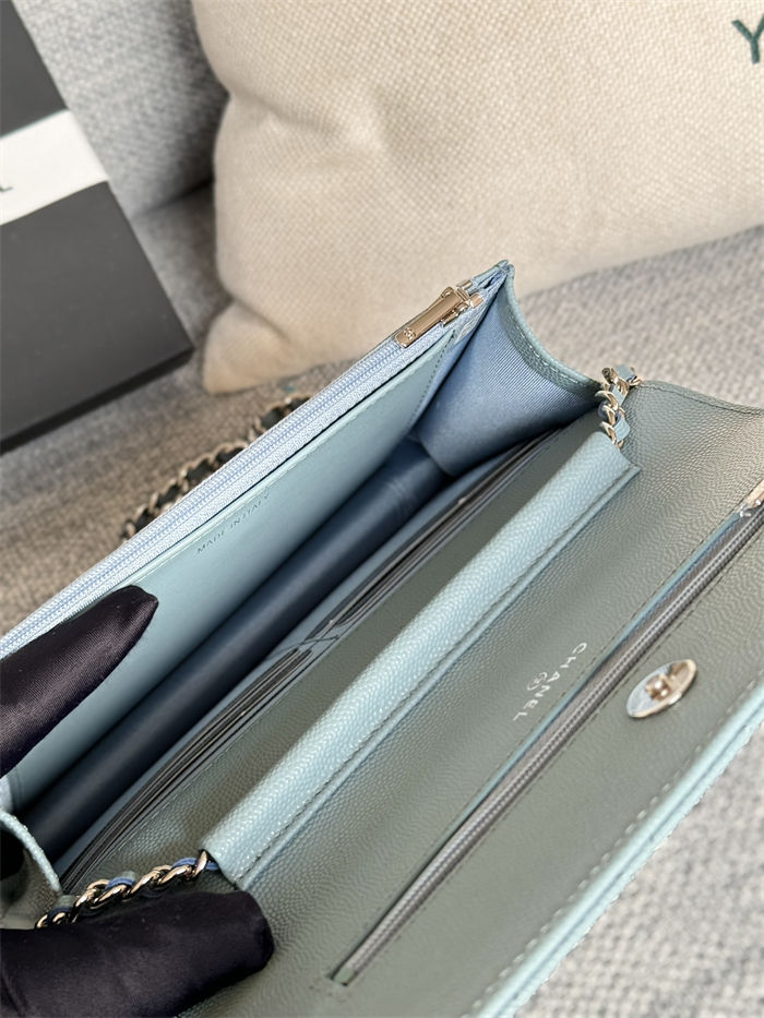 Classic Wallet on Chain AP0250 Grained Calfskin Light Blue Silver Metal B