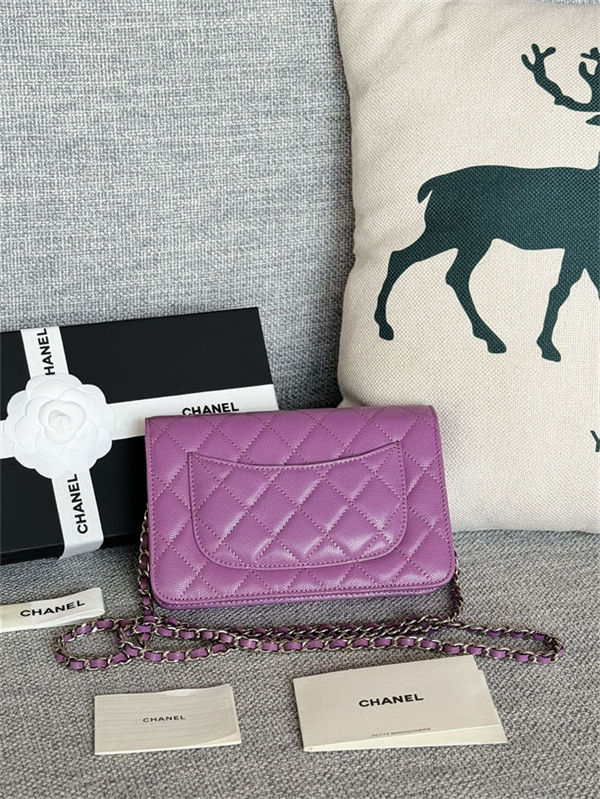 Classic Wallet on Chain AP0250 Grained Calfskin Purple Silver Metal B