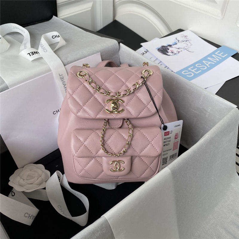 Chanel Duma Backpack 2908 Lambskin Gold-Tone Metal Pink A