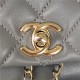 Chanel Duma Backpack 2908 Lambskin Gold-Tone Metal Grey A