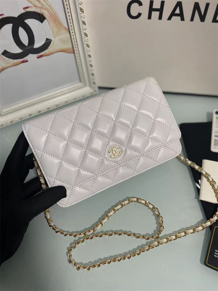 Classic Wallet on Chain AP0250 Lambskin White Gold Metal B