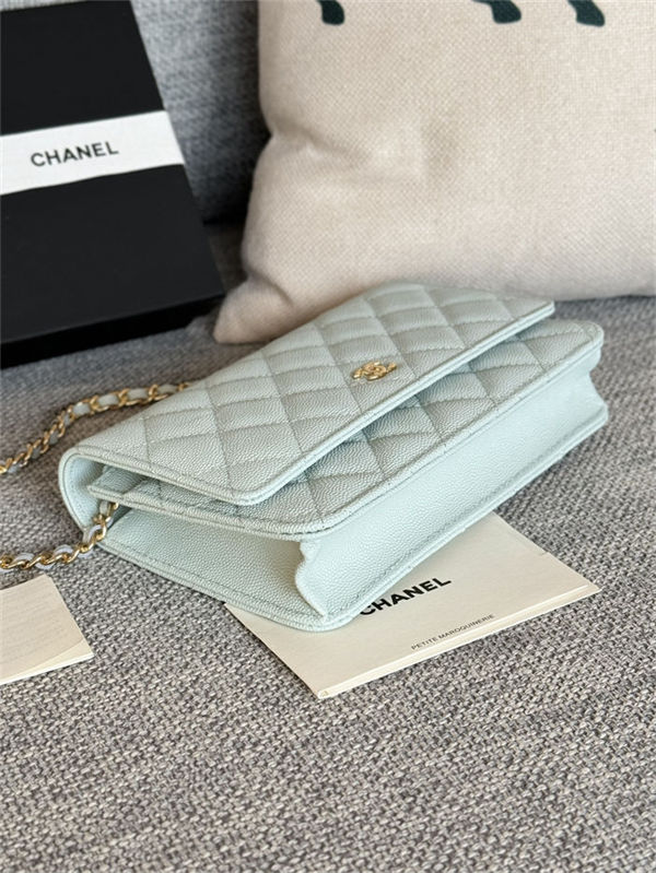 Classic Wallet on Chain AP0250 Grained Calfskin Pale Blue Gold Metal B