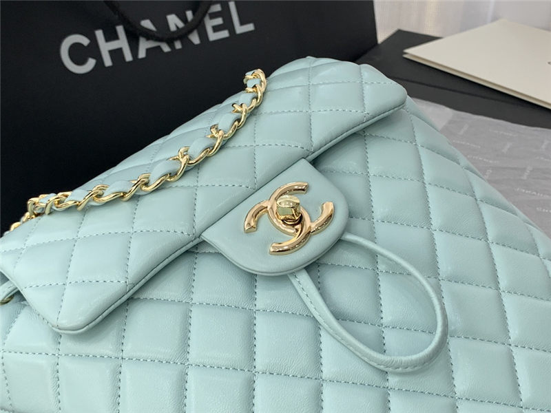 Chanel Small Backpack Lambskin 91120 Gold-Metal Blue High