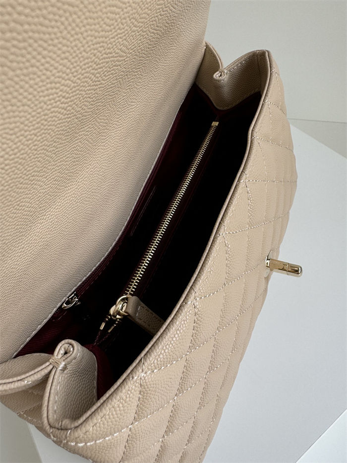 FLAP BAG WITH TOP HANDLE Grained Calfskin Beige Gold Metal High