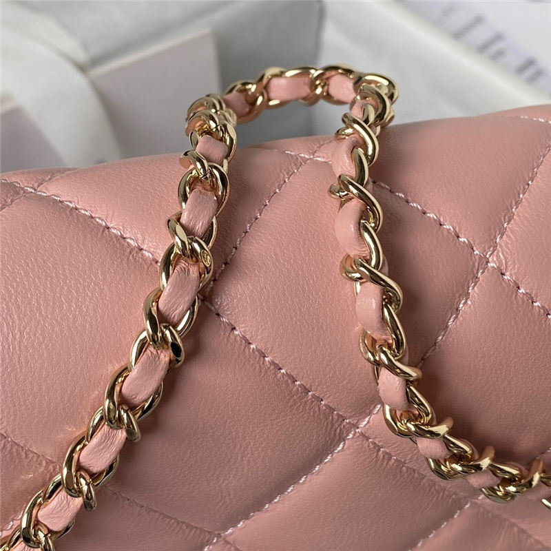 Chanel FLAP BAG AS3791 Lambskin & Gold-Tone Metal Pink High