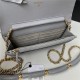 Chanel WALLET ON CHAIN Shiny Lambskin & Gold-Tone Metal Grey A