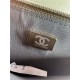 Chanel 19 WALLET ON CHAIN-A Shiny Lambskin, Gold/Silver-Tone & Ruthenium-Finish Metal Green A