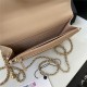 Chanel WALLET ON CHAIN Calfskin & Gold-Tone Metal AP2289 Beige A