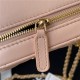 MINI CAMERA CASE Lambskin Gold-Tone Metal Pink AS2463 A