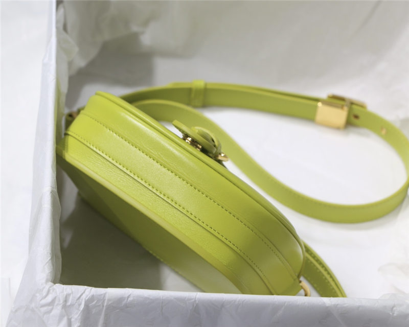 SMALL Dior BOBBY BAG Box Calfskin Lime High