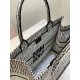 MEDIUM Dior BOOK TOTE Miss Dior Allover Embroidery Khaki High