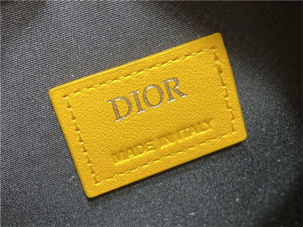 Dior WORLD TOUR MESSENGER POUCH Dior Oblique Galaxy Leather Yellow High