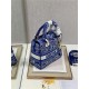 MEDIUM LADY D-LITE BAG Toile de Jouy Reverse Embroidery Royal Blue High