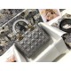 MEDIUM LADY Dior BAG Snake Grey High