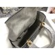 MEDIUM LADY Dior BAG Snake Grey High