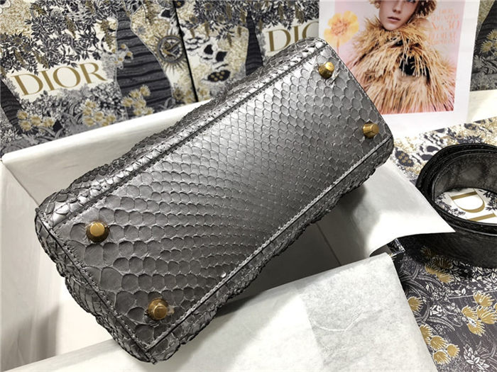 MEDIUM LADY Dior BAG Snake Grey High