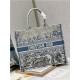 LARGE Dior BOOK TOTE Gradient Toile de Jouy Embroidery Blue High