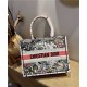 MEDIUM Dior BOOK TOTE Embroidery High