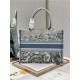 MEDIUM Dior BOOK TOTE Gradient Toile de Jouy Embroidery Blue High