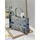 MEDIUM Dior BOOK TOTE Gradient Toile de Jouy Embroidery Blue High