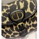 SMALL Dior BOBBY BAG Mizza Jacquard Beige High