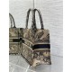 SMALL Dior BOOK TOTE Toile de Jouy Voyage Embroidery Beige High