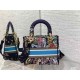 MEDIUM LADY D-LITE BAG Multicolor D-Constellation Embroidery High