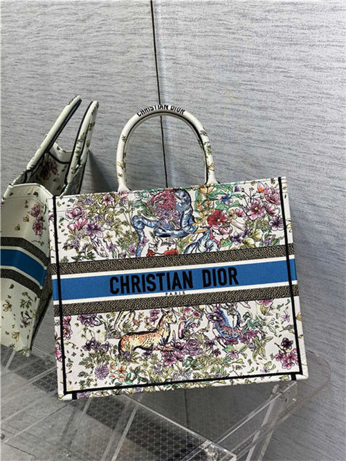 LARGE Dior BOOK TOTE Multicolor D-Constellation Embroidery High