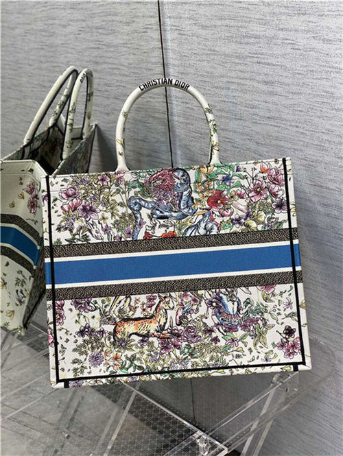 LARGE Dior BOOK TOTE Multicolor D-Constellation Embroidery High