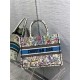 MEDIUM Dior BOOK TOTE Multicolor D-Constellation Embroidery High