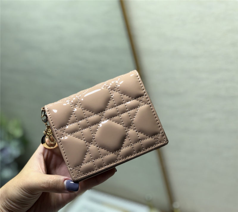 Dior MINI LADY Dior WALLET High