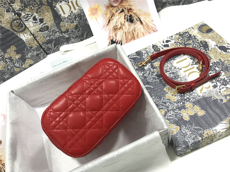 SMALL DiorTRAVEL VANITY CASE Poppy Red Cannage Lambskin High