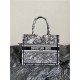 SMALL Dior BOOK TOTE Toile de Jouy Voyage Embroidery Black/White High