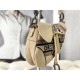 SADDLE BAG Jute Canvas Embroidered with Dior Union Motif High