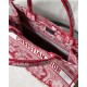 MEDIUM Dior BOOK TOTE Toile de Jouy Reverse Embroidery Red High