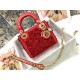 MINI LADY Dior BAG Embroidery Calfskin High