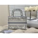 MINI Dior BOOK TOTE Toile de Jouy Embroidery Grey High