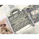 MINI Dior BOOK TOTE Dior Oblique Embroidery Gray High