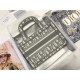 MINI Dior BOOK TOTE Dior Oblique Embroidery Gray High