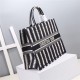 LARGE Dior BOOK TOTE D-Stripes Embroidery Blue High