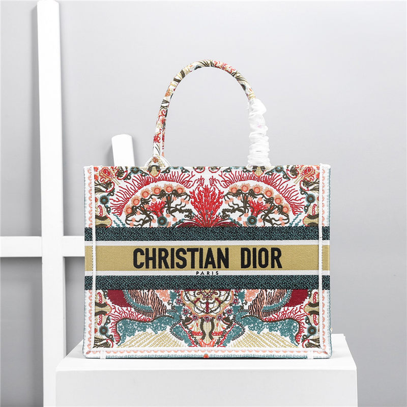 MEDIUM Dior BOOK TOTE Embroidery High